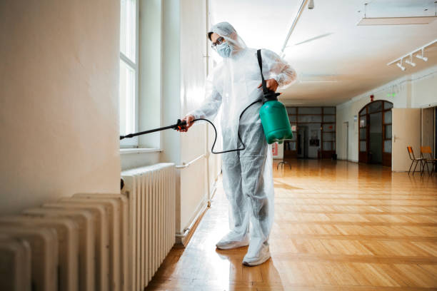 Best Pest Prevention Services  in Strongsville, OH